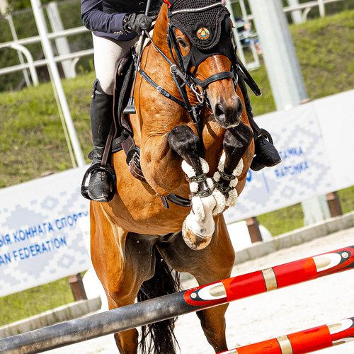 Photo #13789627