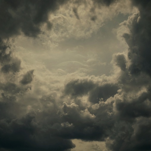 Photo #13789666