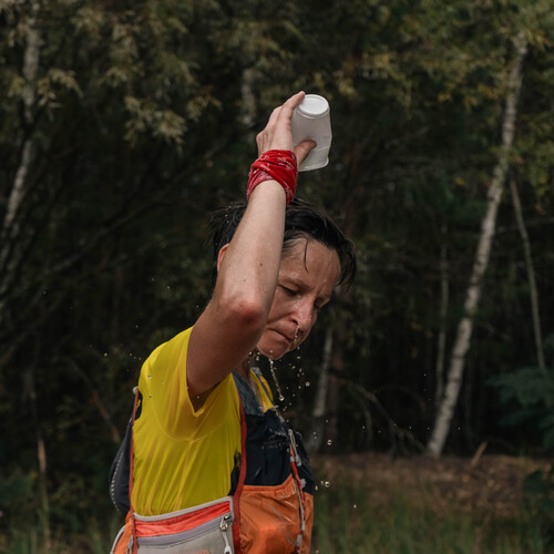 Photo #13789706