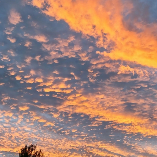 Photo #13789733
