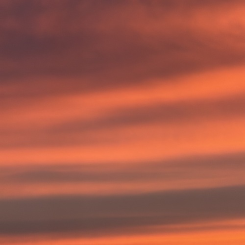 Photo #13789761