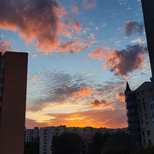 Photo #13789854