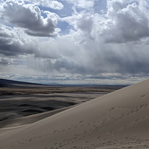 Photo #13789873