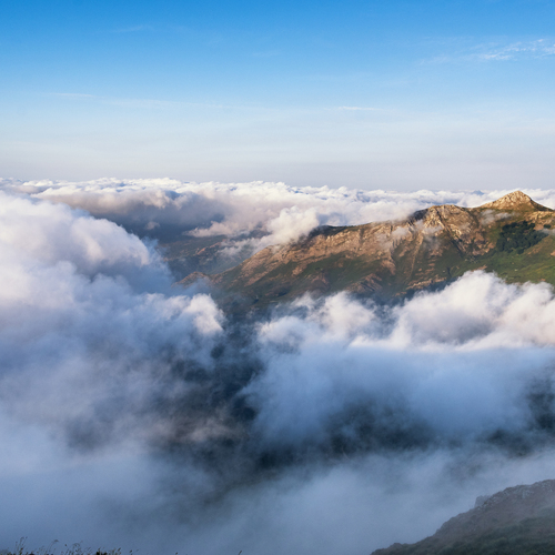 Photo #13789895