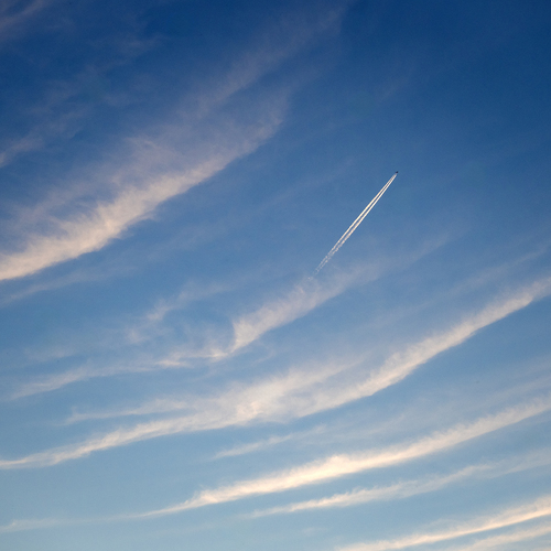Photo #13789899