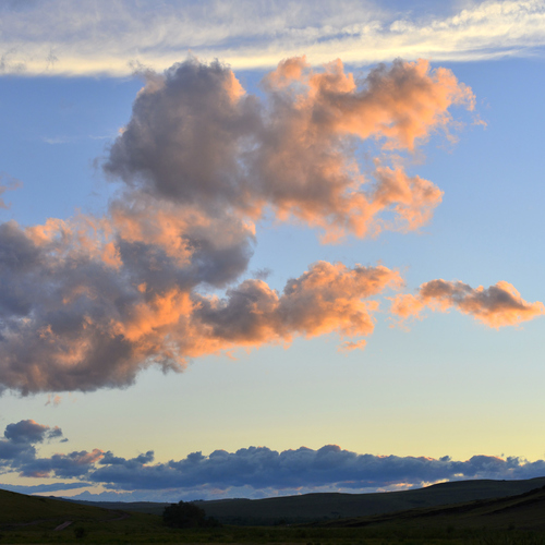 Photo #13789903