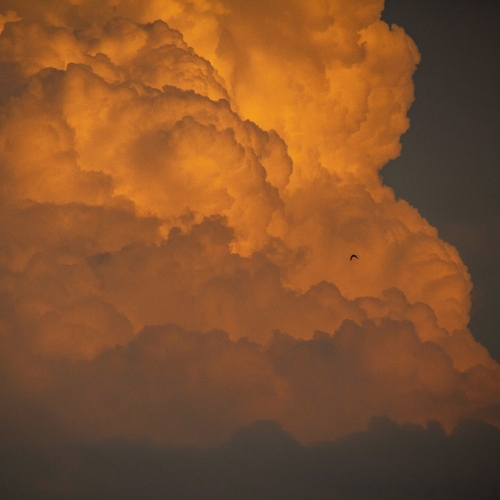 Photo #13789940