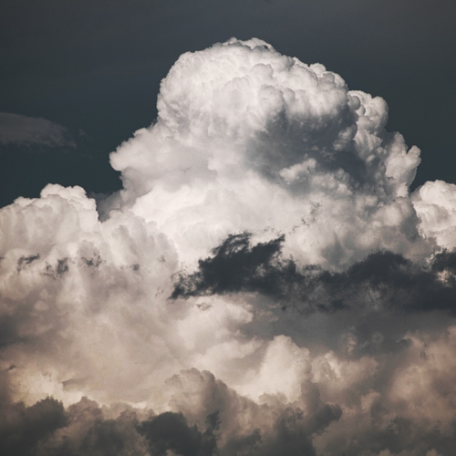 Photo #13789953