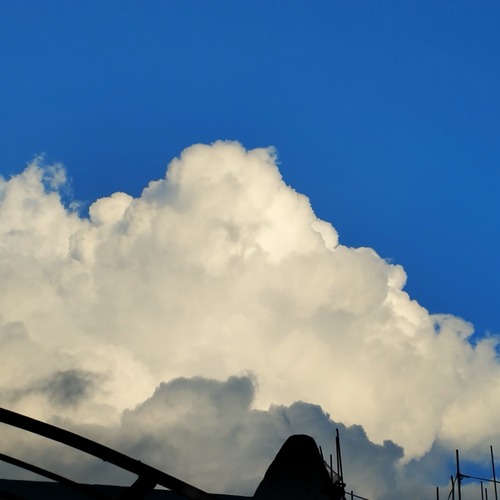 Photo #13789982
