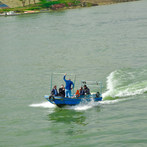 Photo #13789996