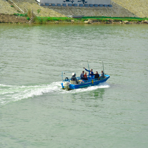 Photo #13789997