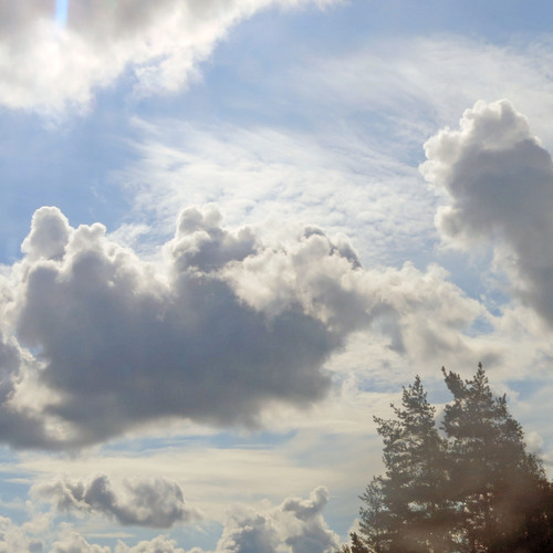 Photo #13790001