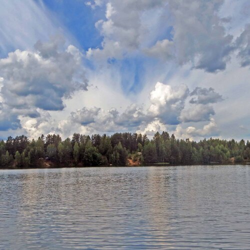 Photo #13790003