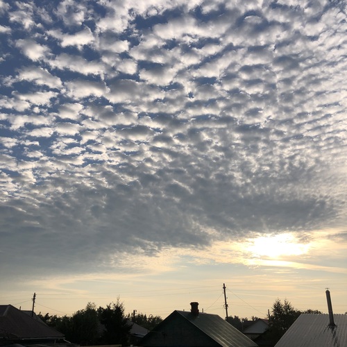 Photo #13790013