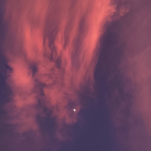 Photo #13790030