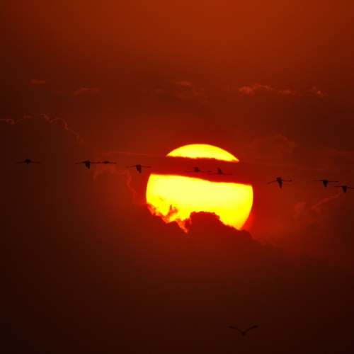 Photo #13790031