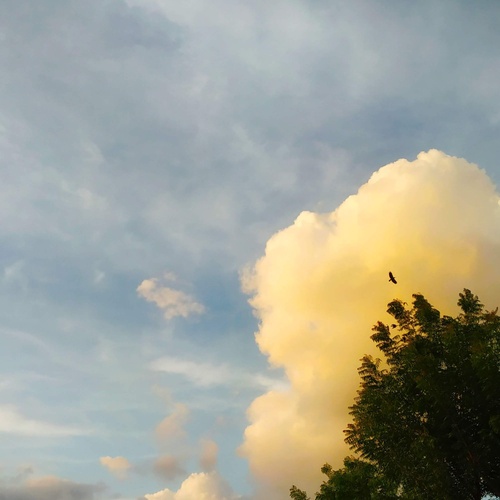 Photo #13790033