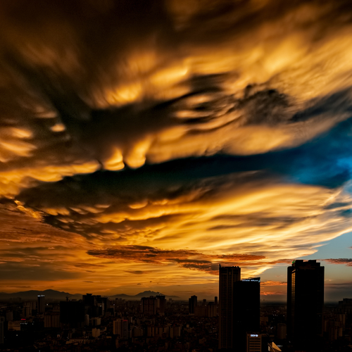 Photo #13790043
