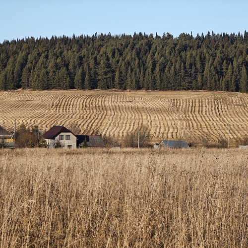 Photo #13790066