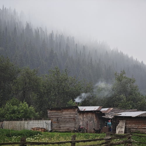 Photo #13790067