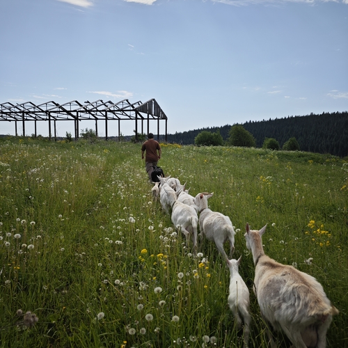 Photo #13790068