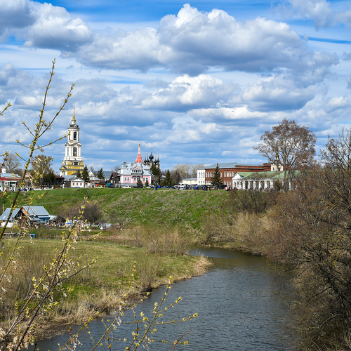Photo #13790124