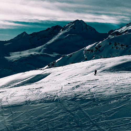 Photo #13790253