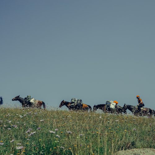 Photo #13790262