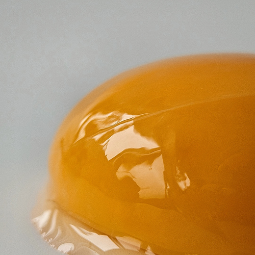 Photo #13790264