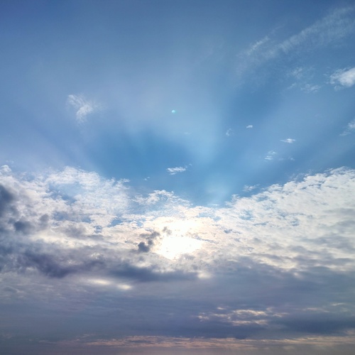 Photo #13790270