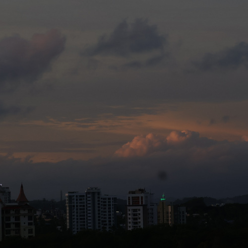 Photo #13790285