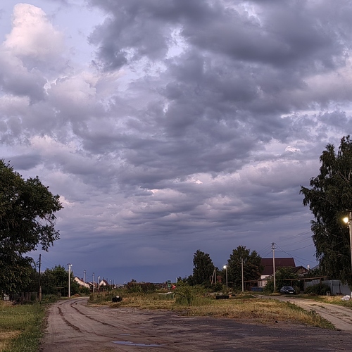 Photo #13790318