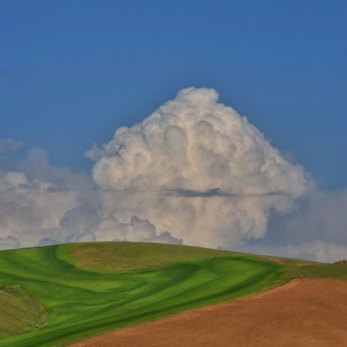 Photo #13790409