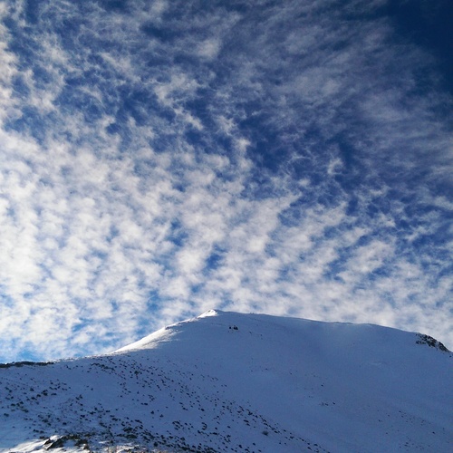 Photo #13790410