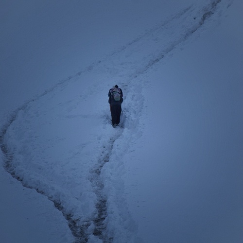 Photo #13790430
