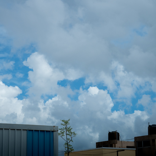 Photo #13790514