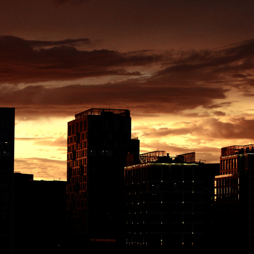 Photo #13790558