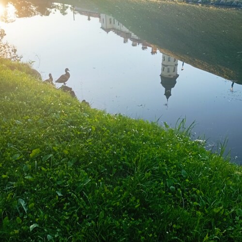Photo #13790657
