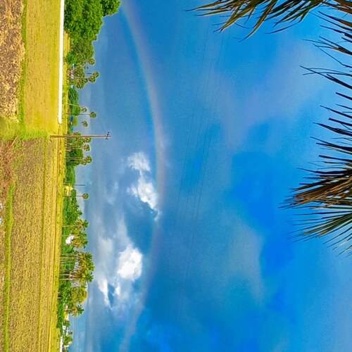 Photo #13790758