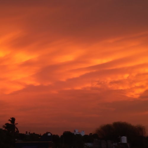 Photo #13790759