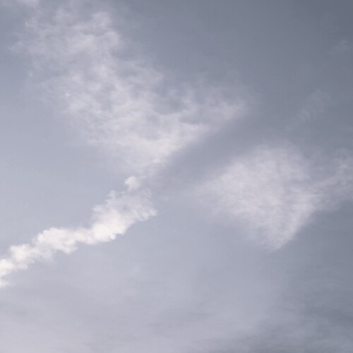 Photo #13790764