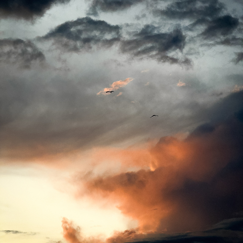 Photo #13790767