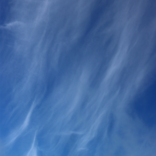 Photo #13790768