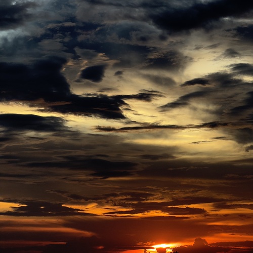 Photo #13790780