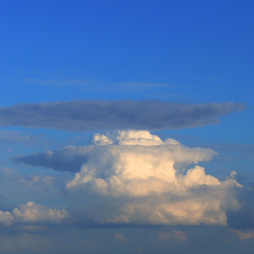 Photo #13790796