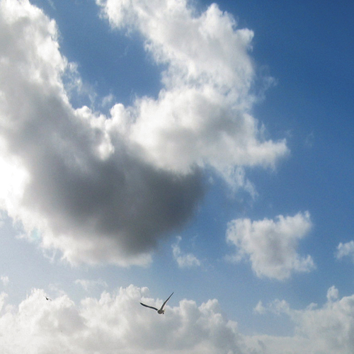 Photo #13790841