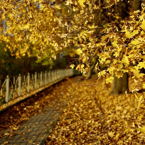 Photo #13790915