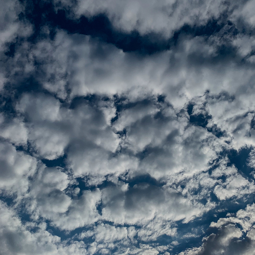 Photo #13790926