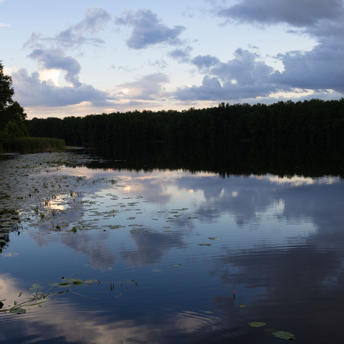 Photo #13790968