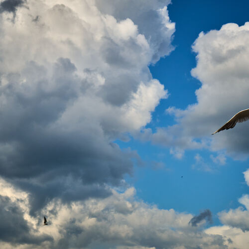 Photo #13790992